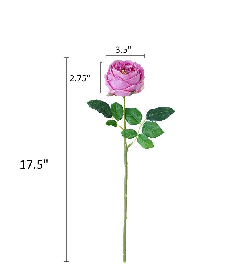 17"Or 30"Premium Real touch English Austin Cabbage Rose Stem: 30"-Mauve Lavender