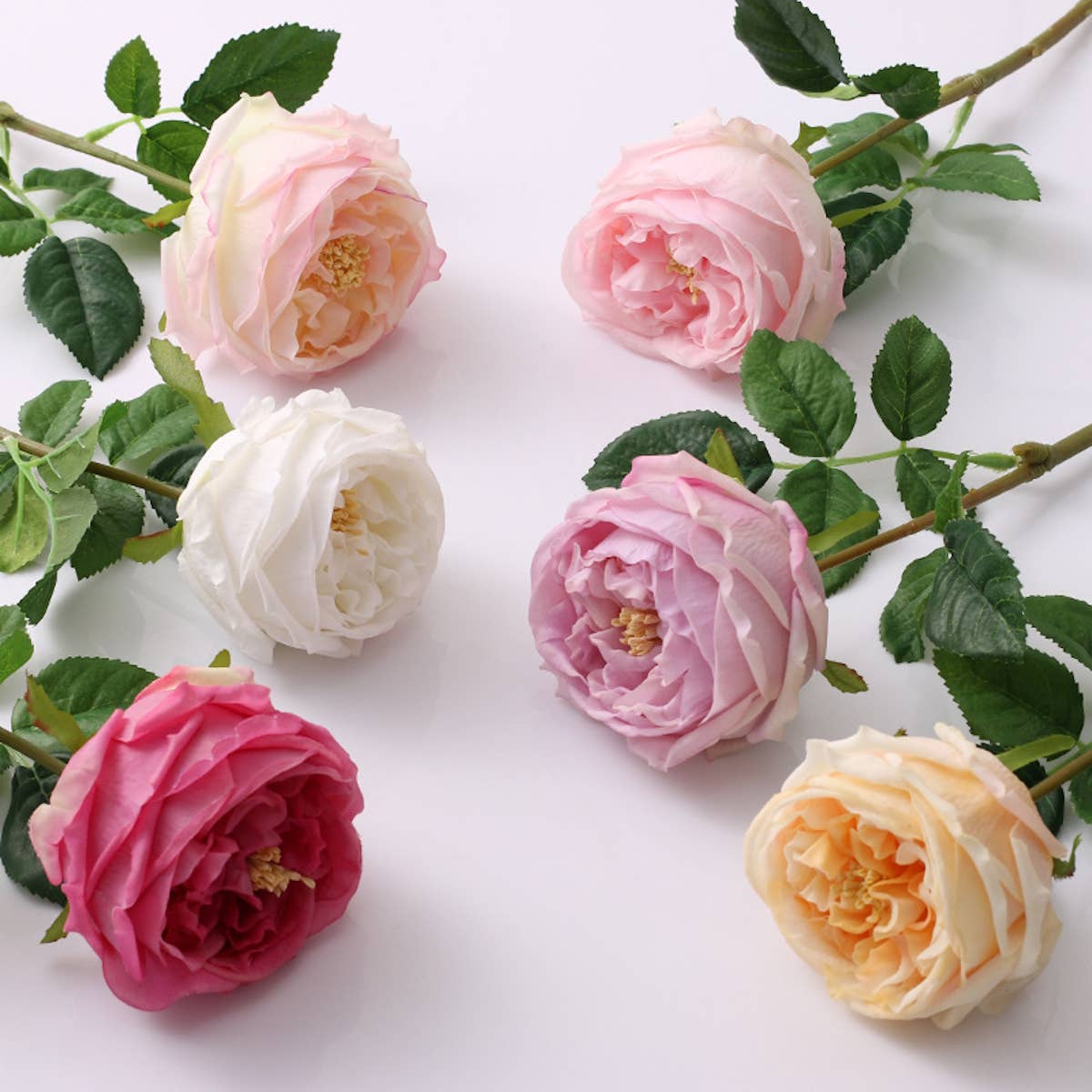17"Or 30"Premium Real touch English Austin Cabbage Rose Stem: 30"-Rosegold Pink