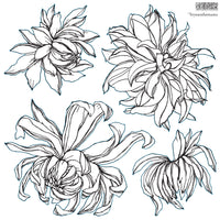 Thumbnail for Chrysanthemum 12×12 IOD Stamp™