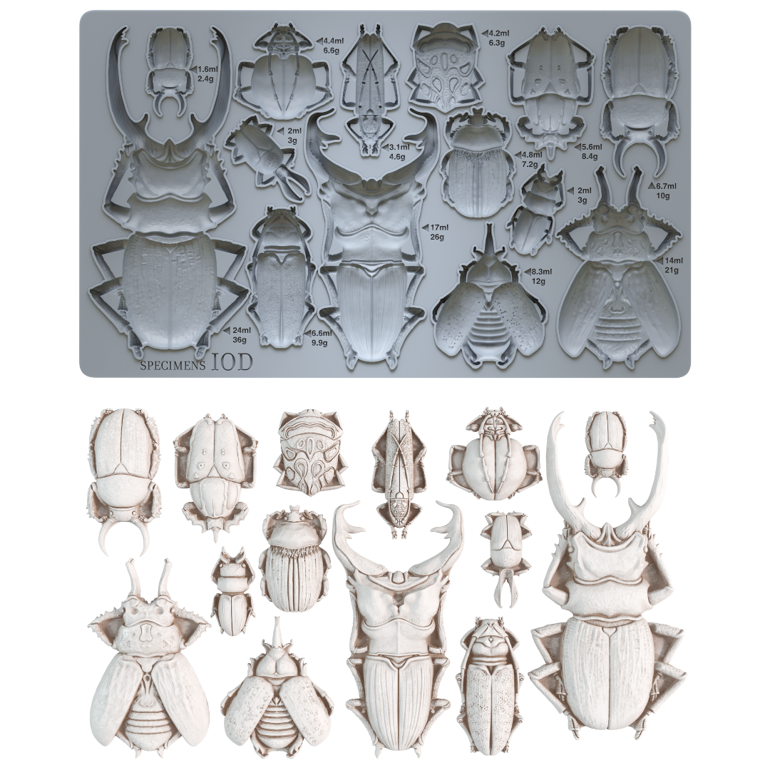 Specimens 6"x10" - IOD Decor Mould™ - Iron Orchid Designs