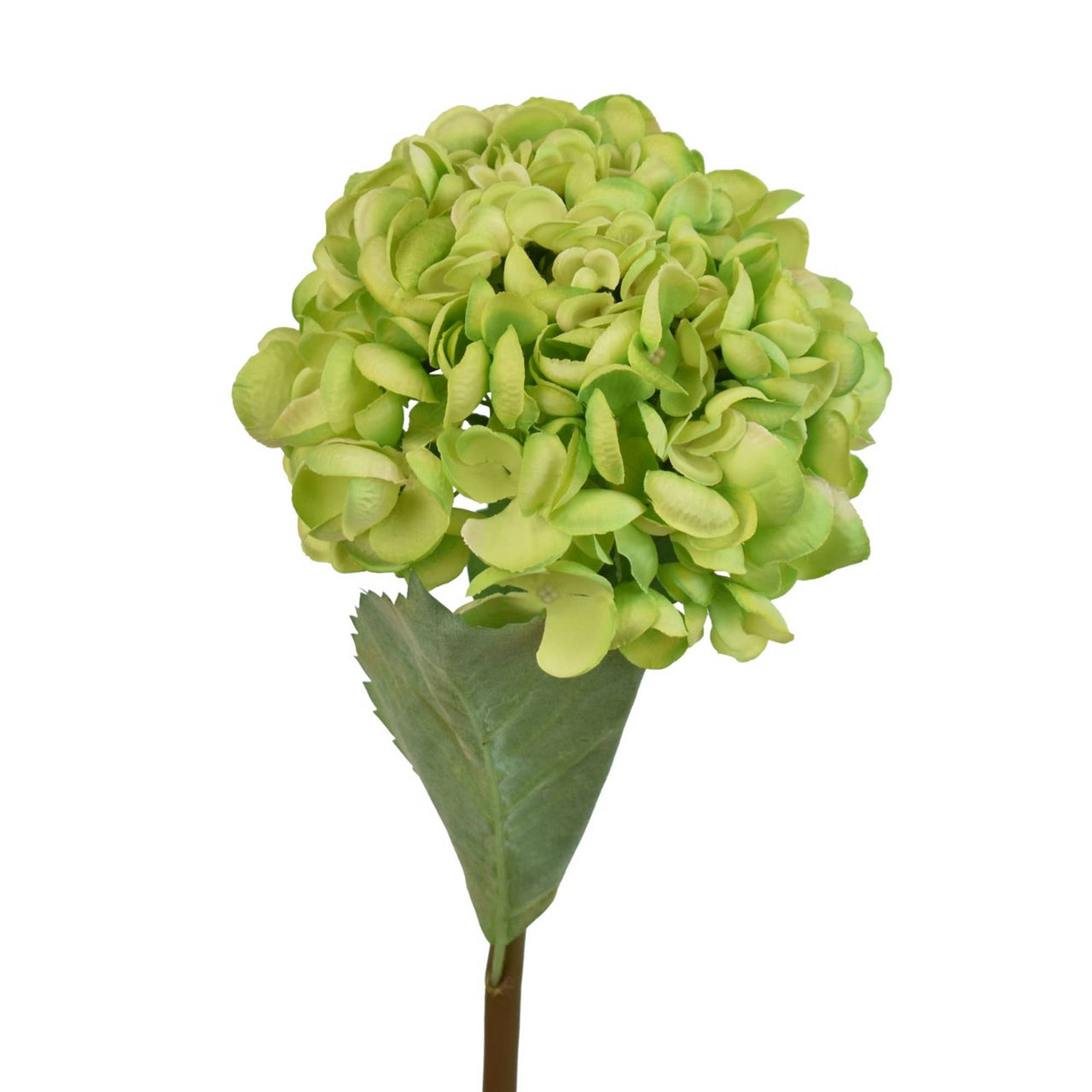 20” Popcorn Hydrangea Stem - Green - Rubbish Restyled