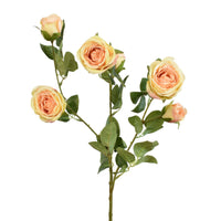 Thumbnail for 25” Garden Rose Stem x 6 - Peach - Rubbish Restyled