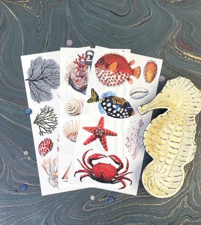 6" x 12" Amazing Sea Life 3 sheets - Redesign with Prima Transfer - Rub on Decal - Rubbish Restyled