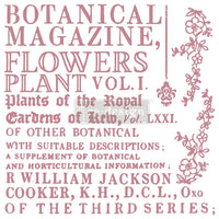 Thumbnail for Botanical Encyclopedia – 12×12 CLEAR CLING REDESIGN DECOR CLEAR-CLING STAMPS – - Rubbish Restyled