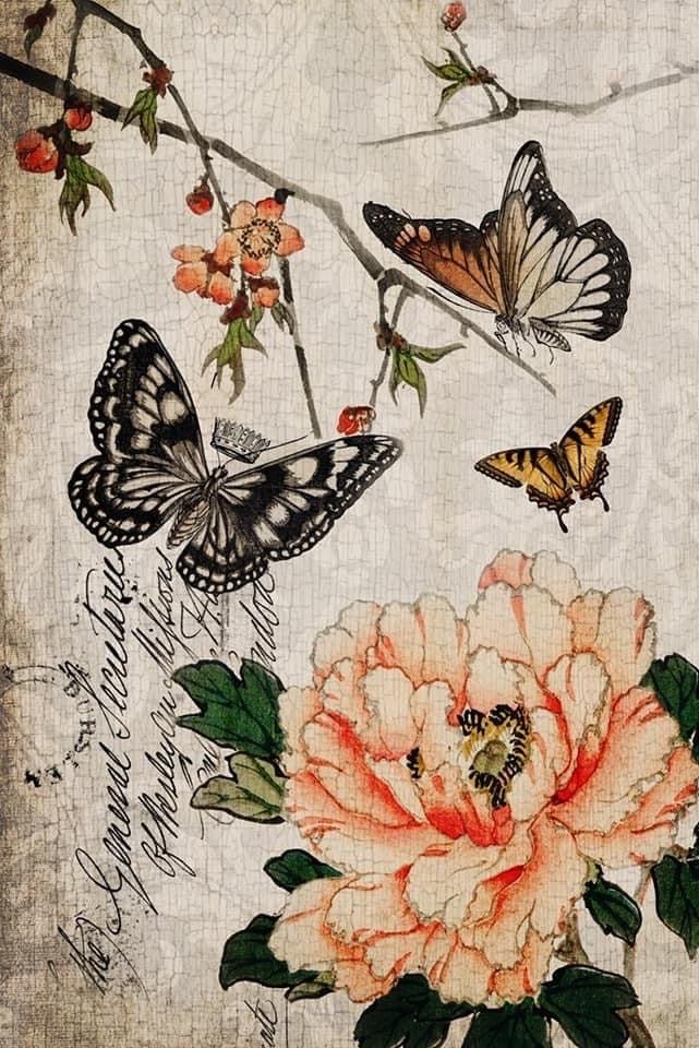 Butterfly Floral 20" x 30" - Roycycled Treasures Decoupage Tissue Papers - Rubbish Restyled