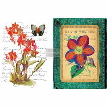 Load image into Gallery viewer, Wondrous Flora - 22&quot; x 32&quot; Redesign with Prima Transfer - Redesign Decor Rub on Decal
