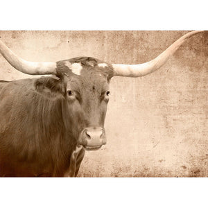 Texas Longhorne - Mint By Michelle Decoupage