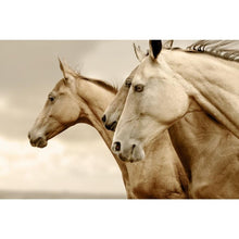 Load image into Gallery viewer, Sepia Horses REVERSED - Mint By Michelle Decoupage

