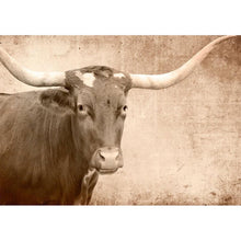 Load image into Gallery viewer, Texas Longhorne - Mint By Michelle Decoupage

