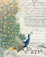 Load image into Gallery viewer, Peacock Ephemera Left 20&quot; x 30&quot; Roycycled Treasures Decoupage Tissue Papers -
