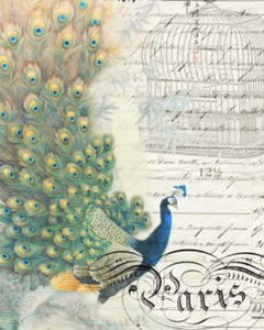 Peacock Ephemera Left 20" x 30" Roycycled Treasures Decoupage Tissue Papers -