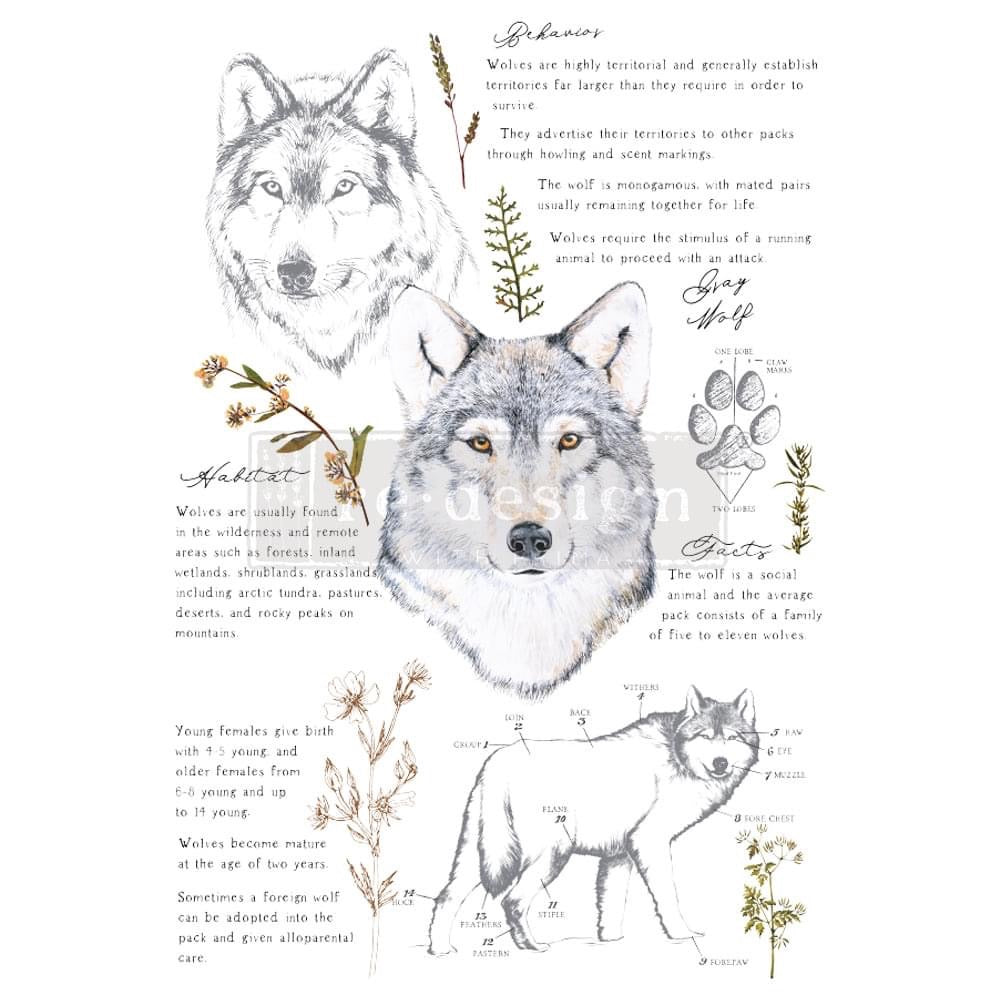 Grey Wolf 24” x 35”  Redesign with Prima Rub on Decal Decor Transfer