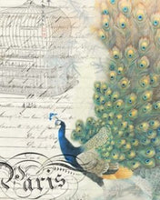 Load image into Gallery viewer, Peacock Ephemera Right 20&quot; x 30&quot; Roycycled Treasures Decoupage Tissue Papers -
